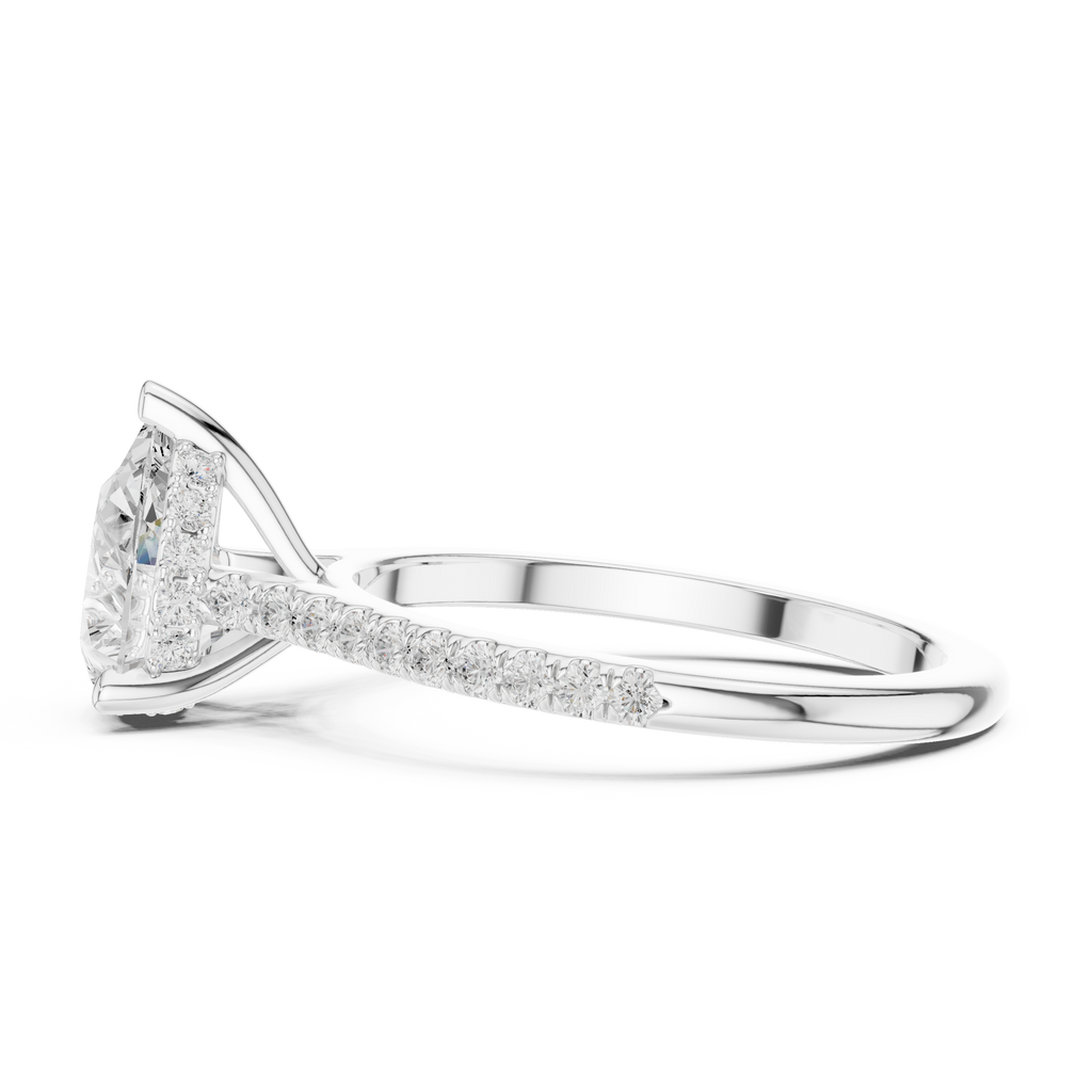 DDLR-169-RD
