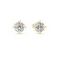 SLGER - 0355